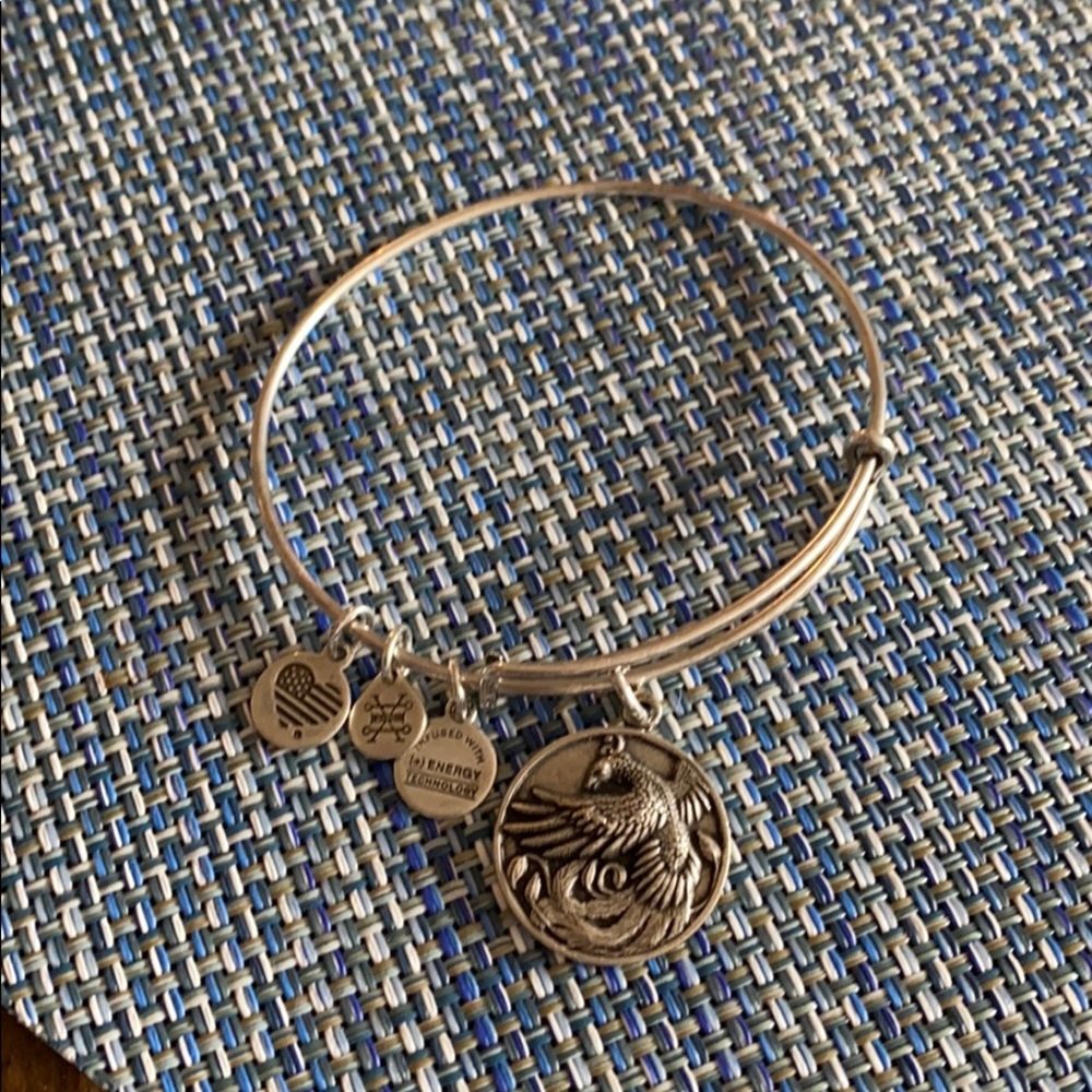 Alex and Ani adjustable silver bangle